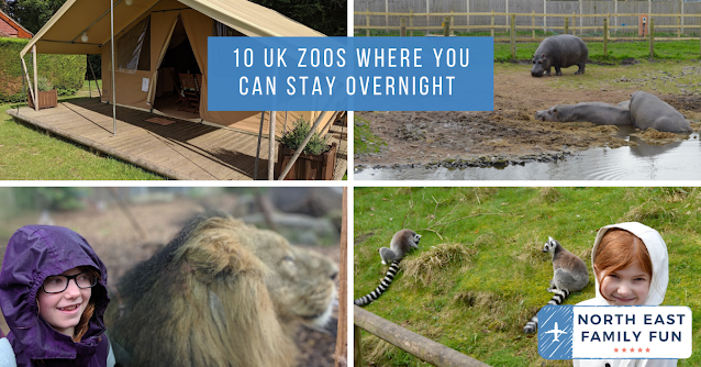 10 UK Zoos Where You Can Stay Overnight