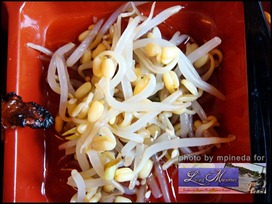 bean sprout