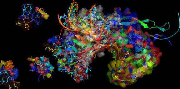 ESE ELF3 (ESE1/ESX), ets transcription factor binds to the TGF-beta RII promoter. Autophosphorylation