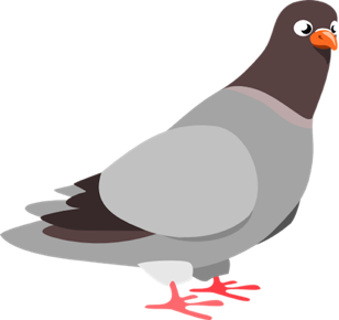 Clipart pigeon 512x512 38f8