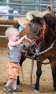 baby is playing with horse