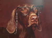 A Brown dog wearing eyeglasses and beaded eye leash