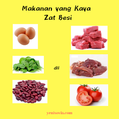 makanan yang kaya zat besi 