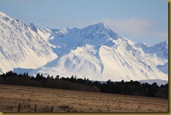 IMG_6647