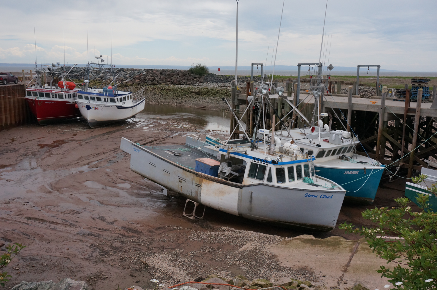 Alma harbour at low tide