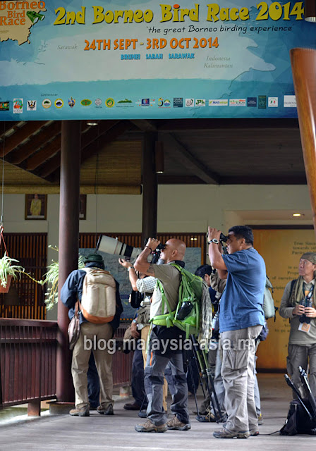 Bird Watching in Sarawak