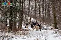 Propozycja widokowej pętli na Kozią Górę oraz Szyndzielnię w Beskidzie Śląskim! Opis szlaków i charakterystyka tras