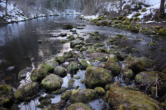 Ahja jõgi Saesaare paisu lähedal