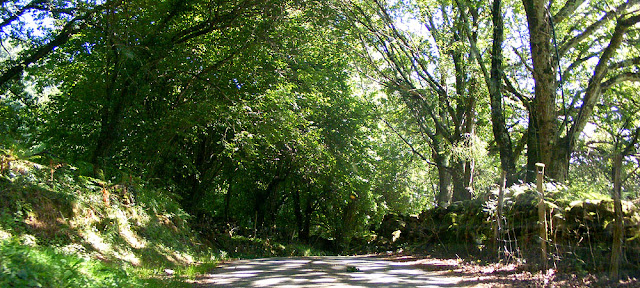 Descending a narrow road in Navarre, Spain.  Indre et Loire, France. Photographed by Susan Walter. Tour the Loire Valley with a classic car and a private guide.