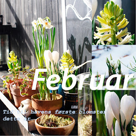 Sådan startes foråret i haven viser havebloggen i "Året der gik 2015"