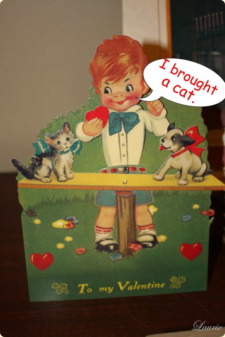 brought cat