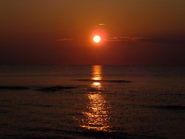 hunting island south carolina