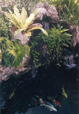 The water return from the filtration system is through a large waterfall falling into the main Koi pond