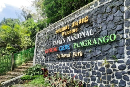  Gunung Pangrango: 13 Petualangan Tersesat di Jalur Terlarang