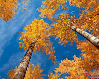 Autumn Desktop Pictures4