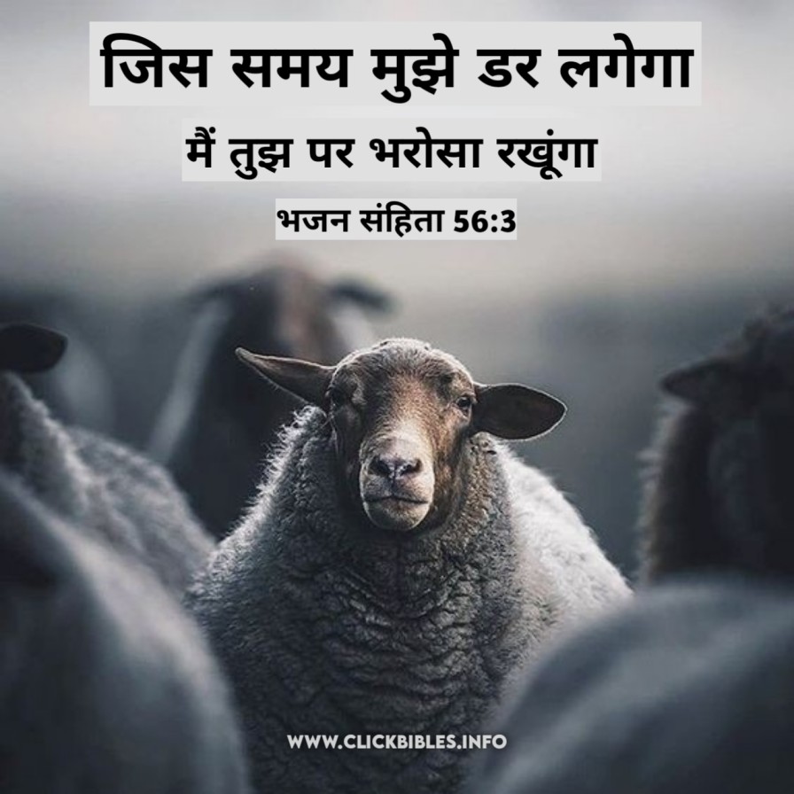 बाइबल वर्सेज | Verse Of The Day About Strength