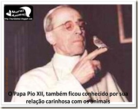 papa_ama_gatos (14)