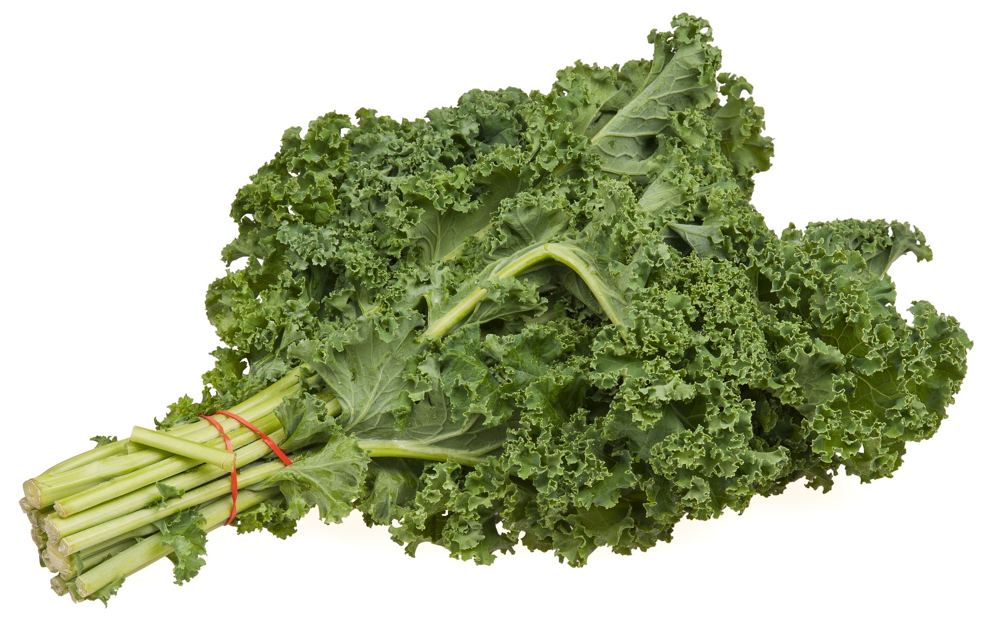 Unlocking the Power of Kale: The Ultimate Guide to Kale Nutrition and Its Health Benefits