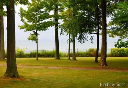 16. campground-kab