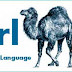 Simple Mini Chat Using Perl And PHP
