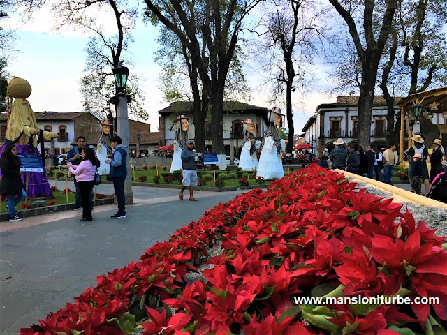 Flores de Nochebuena en el Nacimiento Monumental de Pátzcuaro