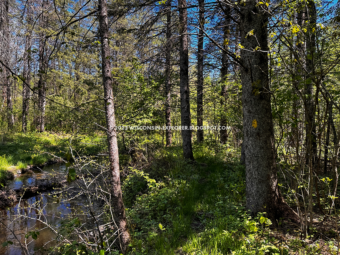 a narrow trail next to a creek