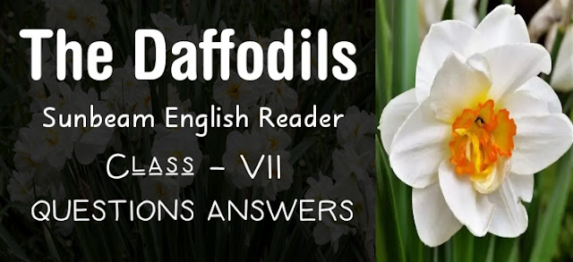 The Daffodils class 7 Questions Answers SCERT, Assam