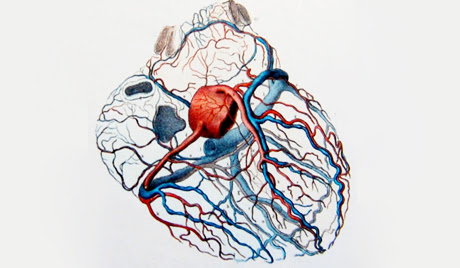 Днес беше имплантирано първото автономно изкуствено сърце 