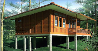 Luxury Wooden House Design