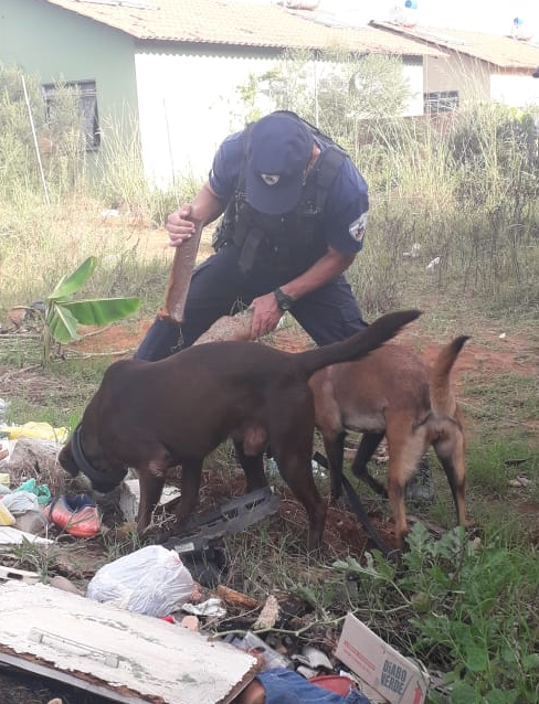 GRAVATAÍ | Cães farejadores da Guarda Municipal ajudam a localizar drogas no Breno Garcia