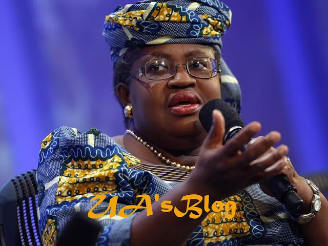 Lies Obscure The Country’s Problems – Ngozi Okonjo Iweala