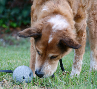 Death Star treat puzzle ball