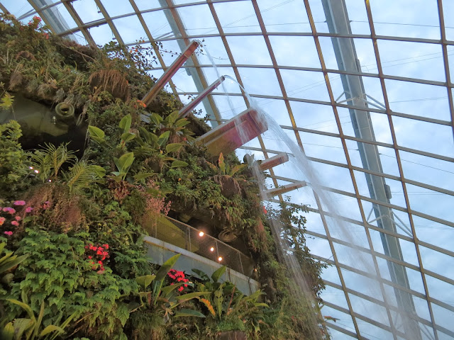 Gardens by the bay cloud forest