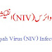 Nipah Virus (NIV) Infection