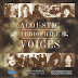  Various Artists - Acoustic Audiophile Voices (2004) [FLAC]