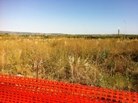 Photo 18-05-12 08 12 45