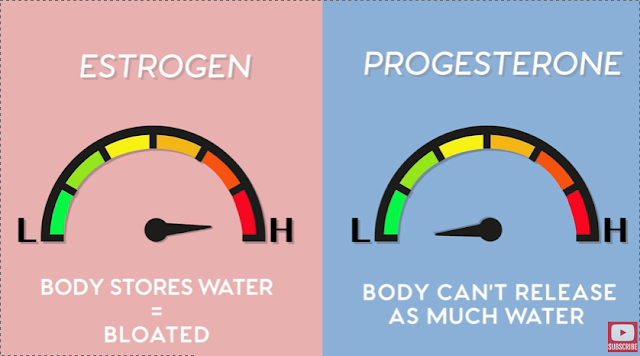 progesterone,estrogen,low progesterone,estrogen dominance,progesterone deficiency,estrogen and progesterone,low estrogen and progesterone,symptoms of low progesterone,effects of estrogen and progesterone,estrogen (drug class),progesterone prolactin and estrogen,gonads ( ovarian hormones : oestrogen and progesterone ),hormones,signs of low progesterone,best remedy for low progesterone,what is progesterone