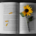 Filosofando - A Poesia