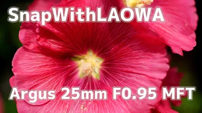 【SnapWithLAOWA】LAOWA (ラオワ) Argus 25mm F0.95 マイクロフォーサーズ