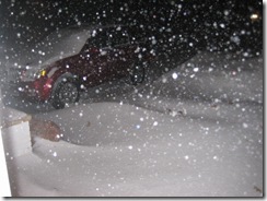 snow 001
