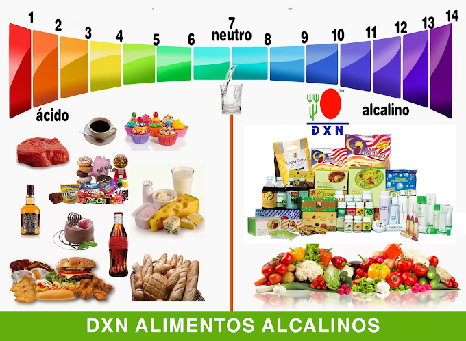 HARVARD ELIMINA LA LECHE DE LA DIETA SALUDABLE