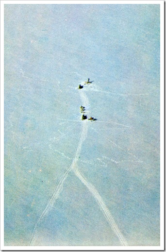 Party on the ice