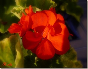 P1050254