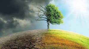 Climate Migration & Resilience: A Global Challenge and the Path Forward.