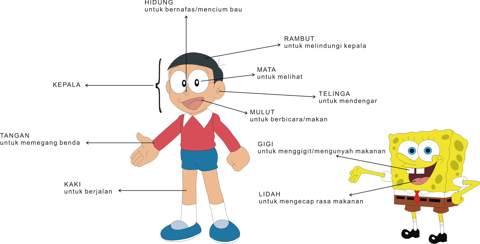 Latihan Soal IPA Kelas 1 SD Semester 1  Buat Belajar Anak