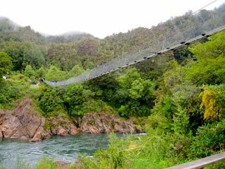 Buller Gorge Swinging Bridge South Island New Zealand