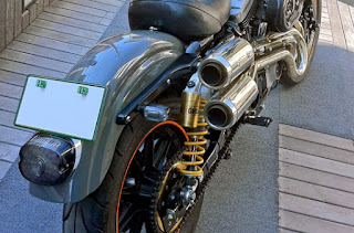 xl1200s sportster sport back right side angle