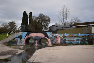 Albury Street Art | Waites Park Bird Watching mural by Kade Sarte