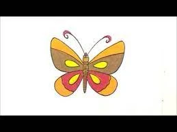 Butterfly Drawing - Butterfly Pic Download - Butterfly Drawing - Butterfly Wallpaper - projapoti pic - NeotericIT.com