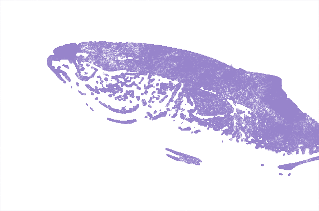 warasa
